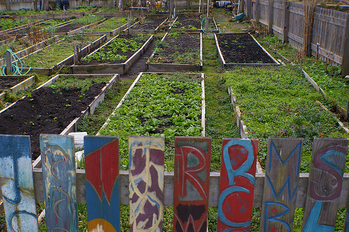 http://farm4.static.flickr.com/3304/3336016116_160cc6ccc4.jpg?v=0